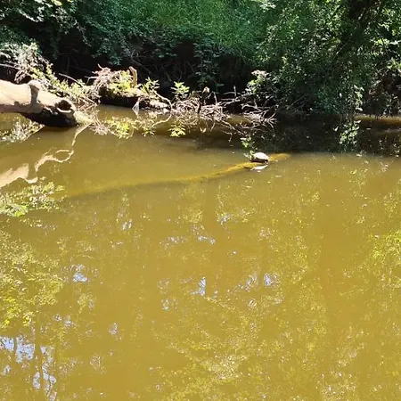 Horizont Ii - Side Sea View * Sozopol