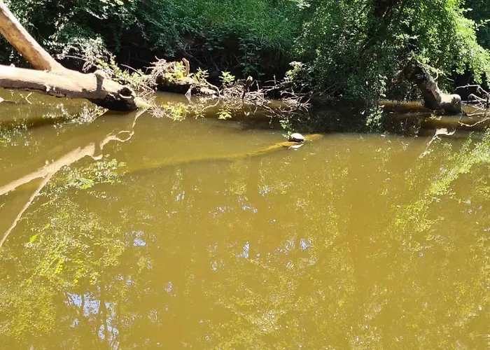 Horizont Ii - Side Sea View * 索佐波尔